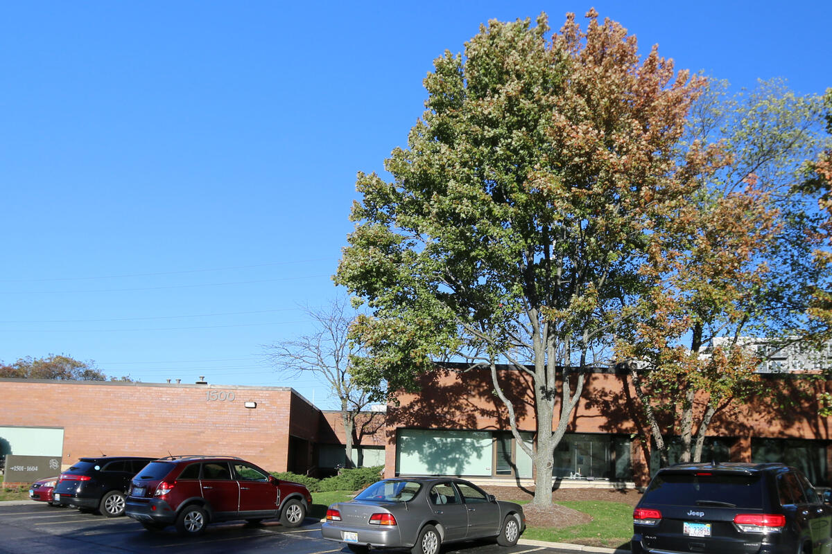 the family institute's Northbrook location 